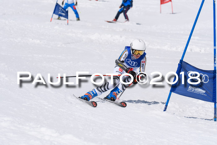 Ski Golf Masters 2018, Riesenslalom