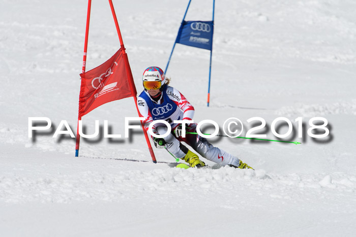 Ski Golf Masters 2018, Riesenslalom