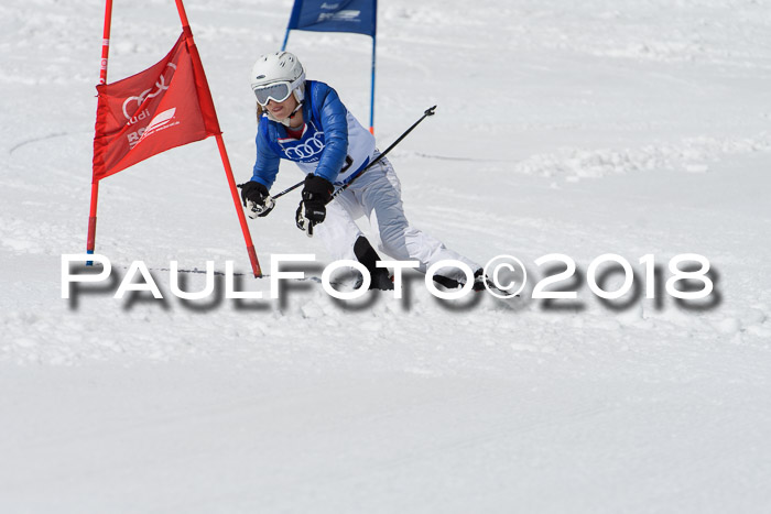 Ski Golf Masters 2018, Riesenslalom