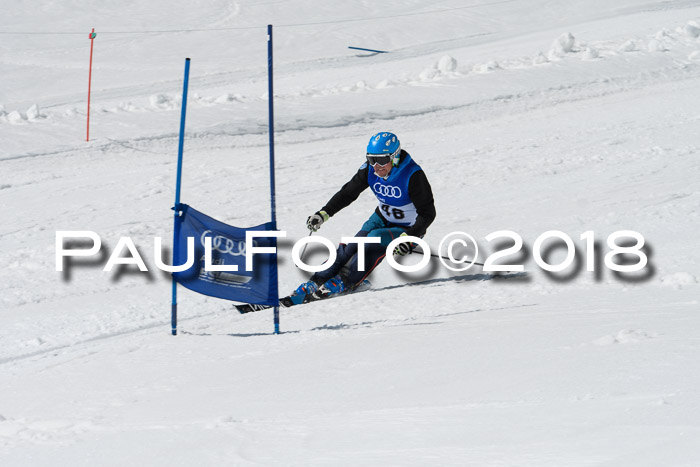 Ski Golf Masters 2018, Riesenslalom