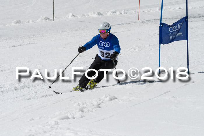 Ski Golf Masters 2018, Riesenslalom