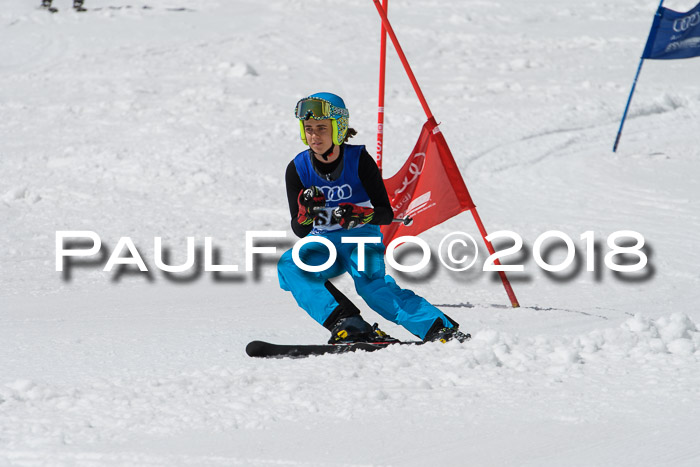 Ski Golf Masters 2018, Riesenslalom