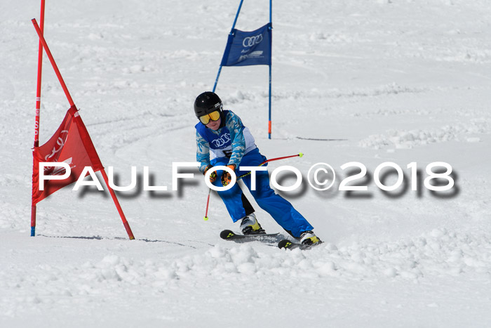 Ski Golf Masters 2018, Riesenslalom