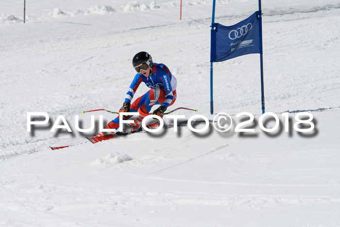 Ski Golf Masters 2018, Riesenslalom