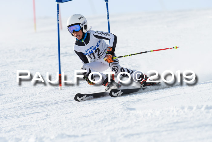 SVM U8, U10, U12, SechzgerPokal 2019