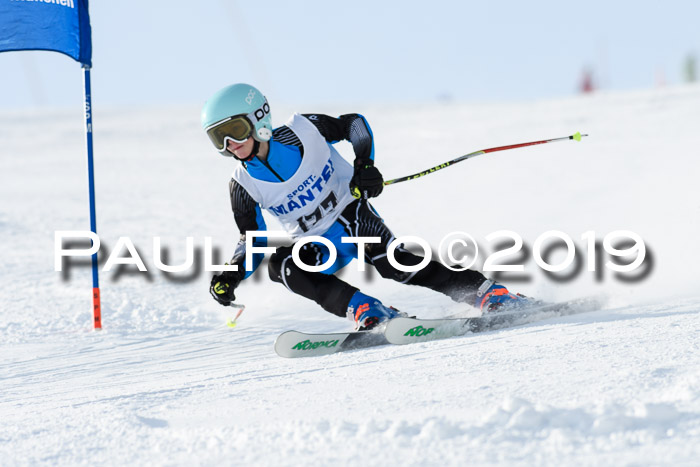 SVM U8, U10, U12, SechzgerPokal 2019