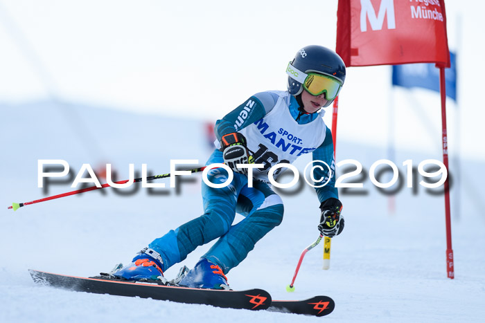 SVM U8, U10, U12, SechzgerPokal 2019