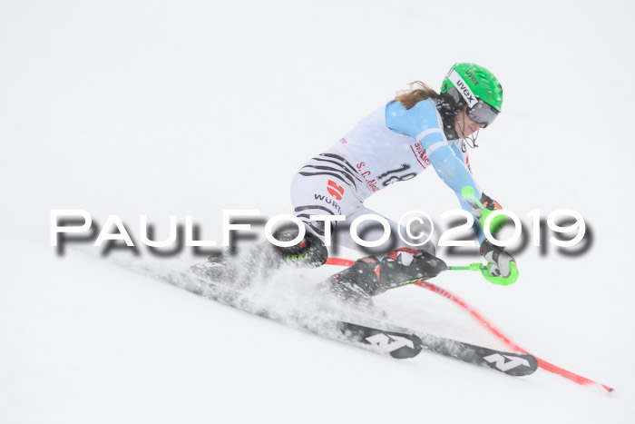 FIS  NJC Slalom Damen 26.01.2019