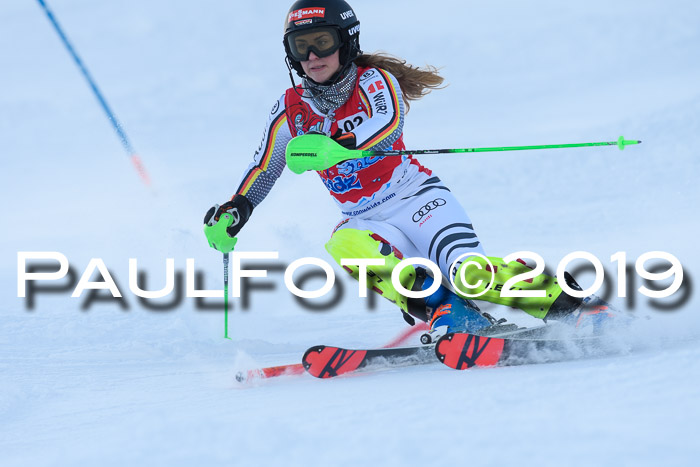 FIS Slalom + NJC Damen + FIS Herren 27.01.2019