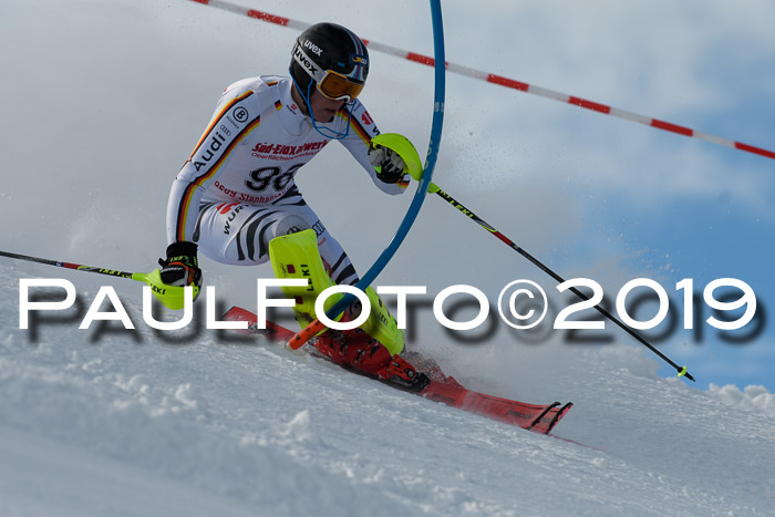 FIS Slalom + NJC Damen + FIS Herren 27.01.2019