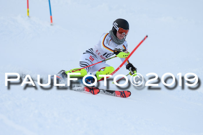 FIS Slalom + NJC Damen + FIS Herren 27.01.2019