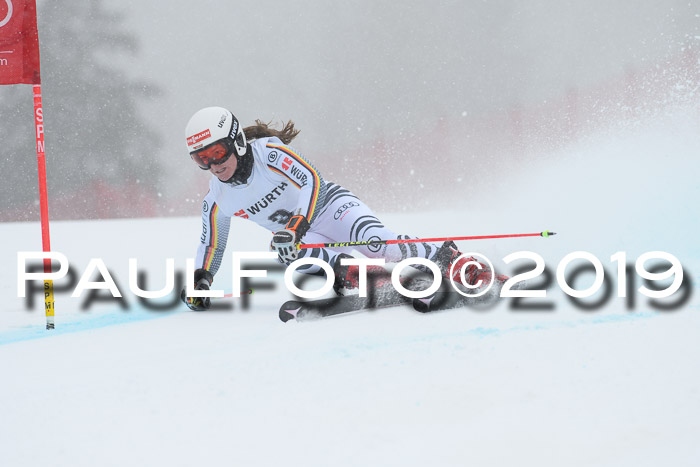 FIS + NJC Riesenslalom Damen + Herren 02.02.2019