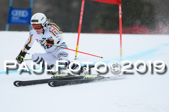 FIS + NJC Riesenslalom Damen + Herren 02.02.2019