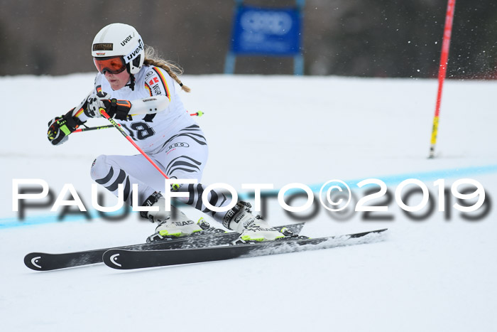 FIS + NJC Riesenslalom Damen + Herren 02.02.2019