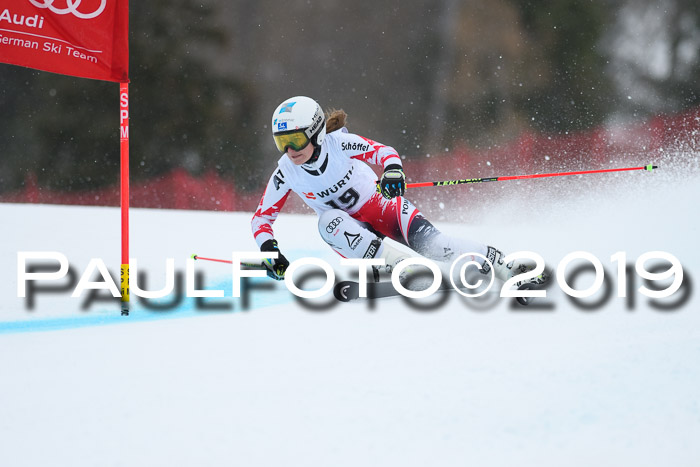 FIS + NJC Riesenslalom Damen + Herren 02.02.2019