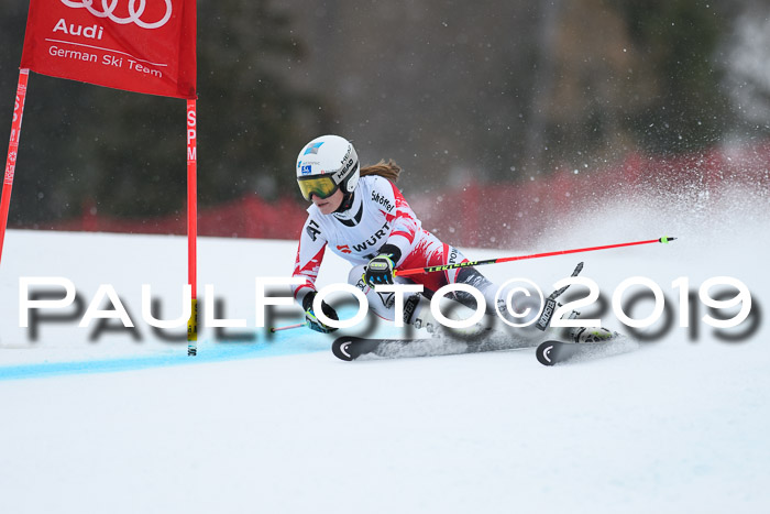 FIS + NJC Riesenslalom Damen + Herren 02.02.2019