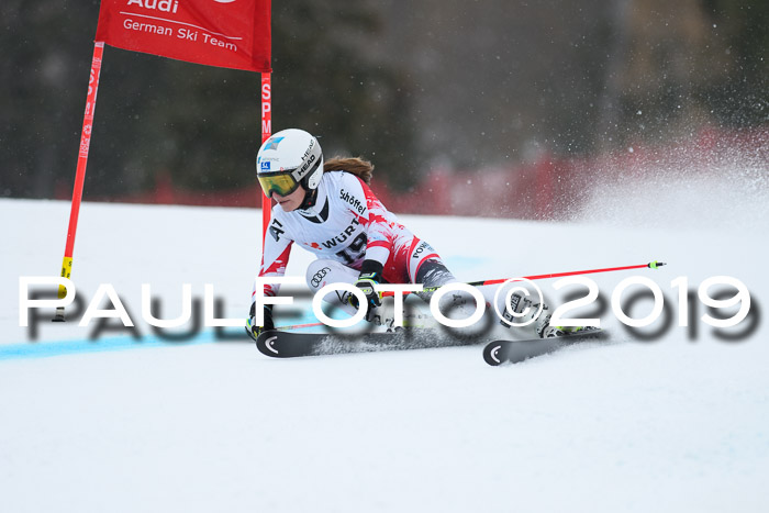 FIS + NJC Riesenslalom Damen + Herren 02.02.2019