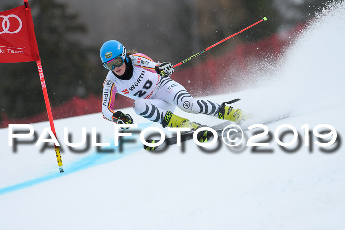 FIS + NJC Riesenslalom Damen + Herren 02.02.2019