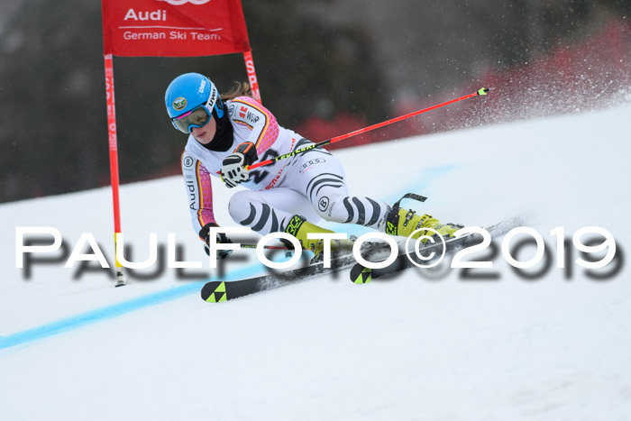 FIS + NJC Riesenslalom Damen + Herren 02.02.2019