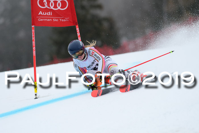 FIS + NJC Riesenslalom Damen + Herren 02.02.2019