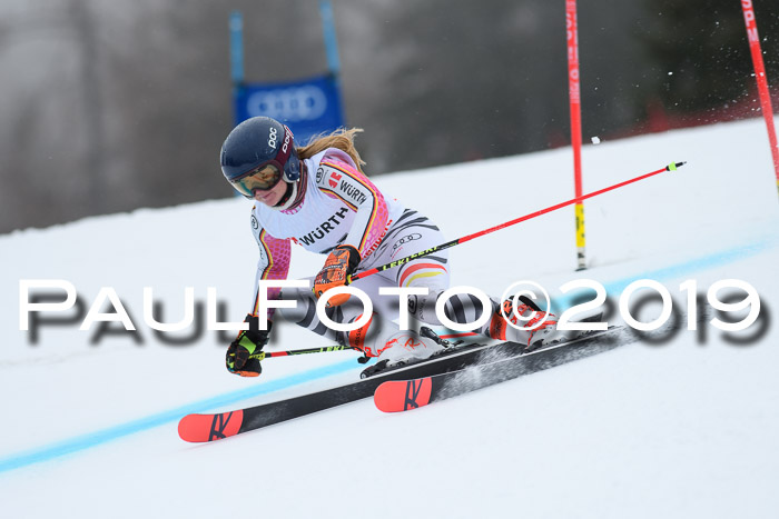 FIS + NJC Riesenslalom Damen + Herren 02.02.2019