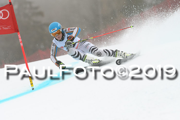 FIS + NJC Riesenslalom Damen + Herren 02.02.2019