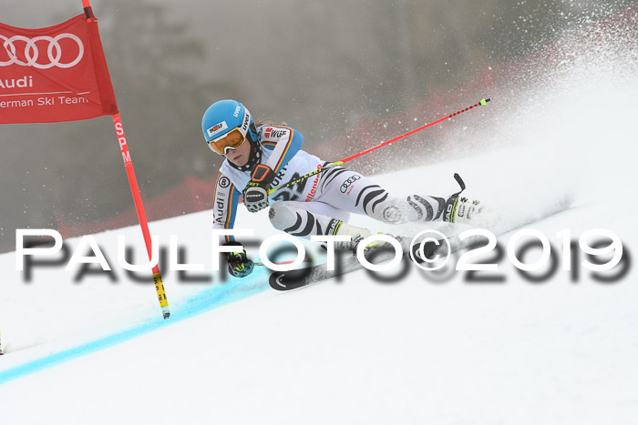 FIS + NJC Riesenslalom Damen + Herren 02.02.2019