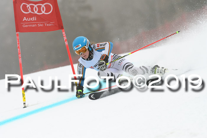 FIS + NJC Riesenslalom Damen + Herren 02.02.2019