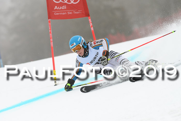 FIS + NJC Riesenslalom Damen + Herren 02.02.2019