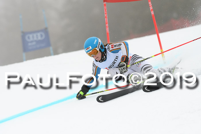 FIS + NJC Riesenslalom Damen + Herren 02.02.2019