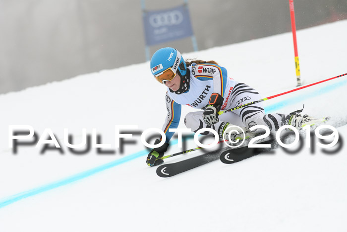 FIS + NJC Riesenslalom Damen + Herren 02.02.2019