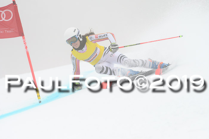 FIS + NJC Riesenslalom Damen + Herren 02.02.2019