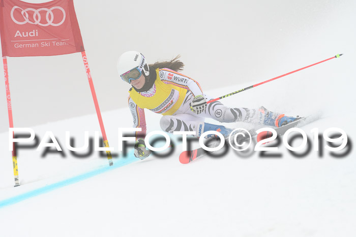 FIS + NJC Riesenslalom Damen + Herren 02.02.2019