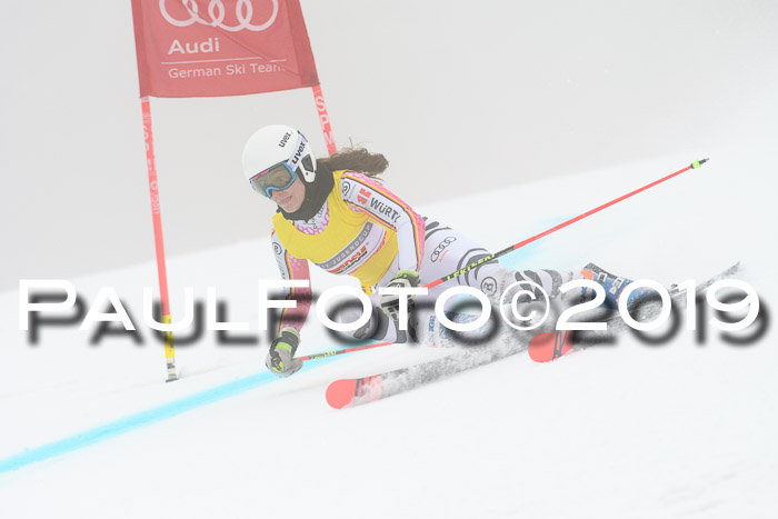 FIS + NJC Riesenslalom Damen + Herren 02.02.2019