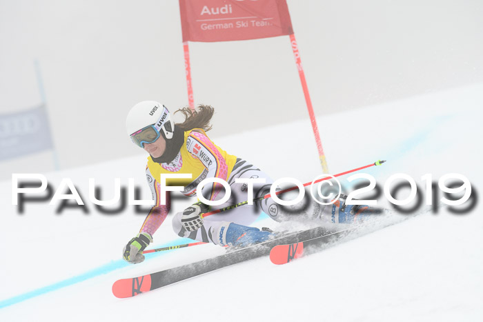 FIS + NJC Riesenslalom Damen + Herren 02.02.2019