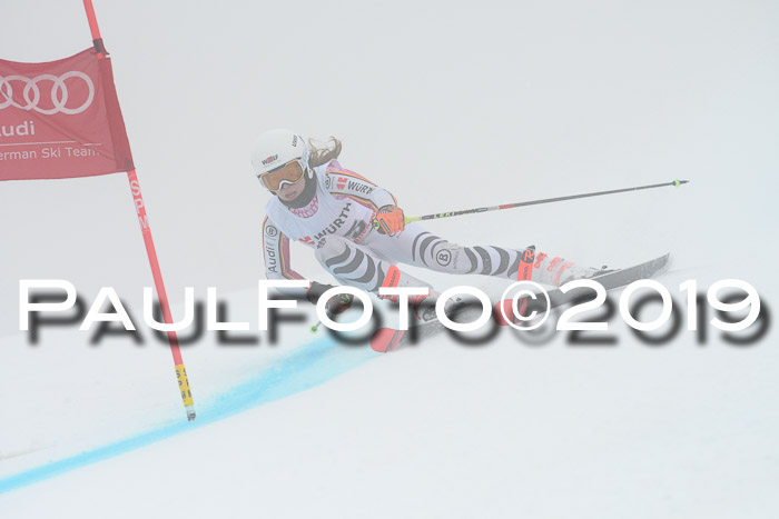 FIS + NJC Riesenslalom Damen + Herren 02.02.2019