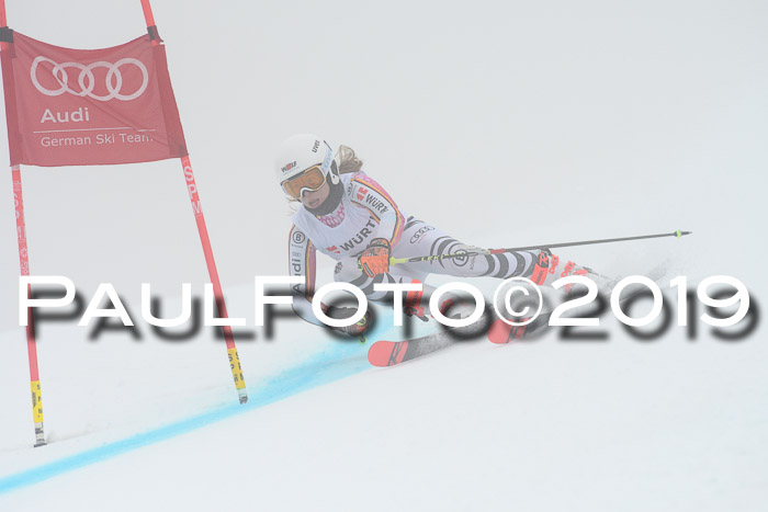 FIS + NJC Riesenslalom Damen + Herren 02.02.2019