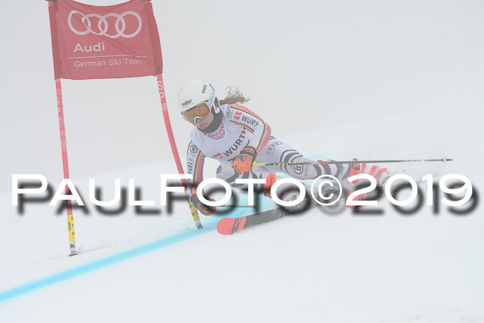 FIS + NJC Riesenslalom Damen + Herren 02.02.2019