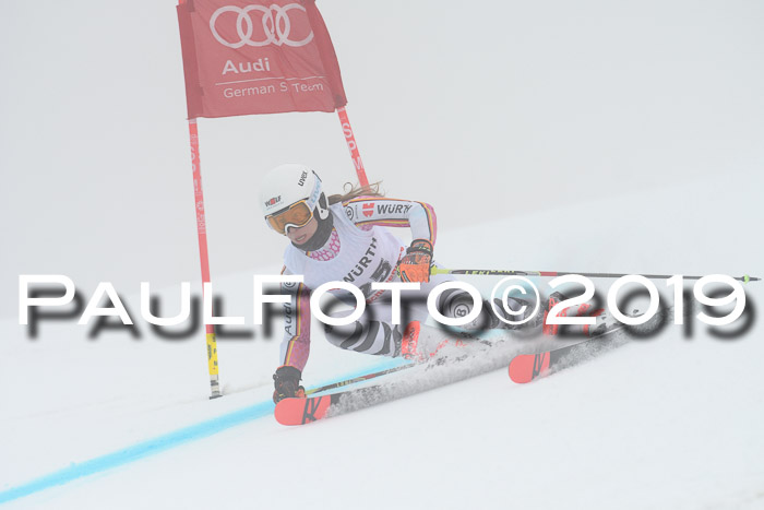 FIS + NJC Riesenslalom Damen + Herren 02.02.2019