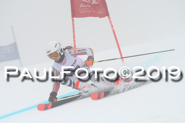 FIS + NJC Riesenslalom Damen + Herren 02.02.2019