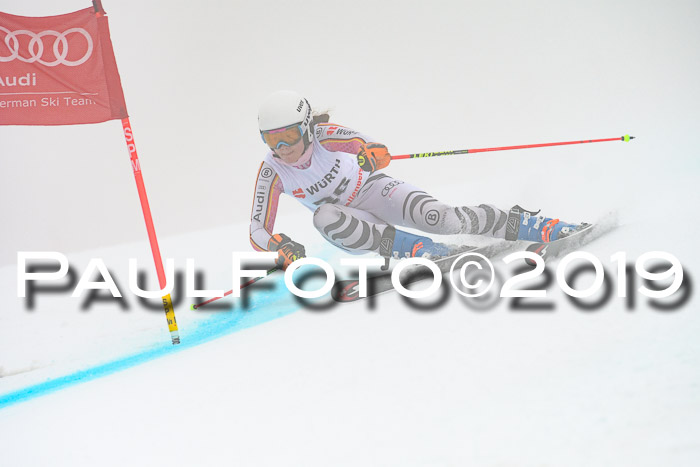 FIS + NJC Riesenslalom Damen + Herren 02.02.2019