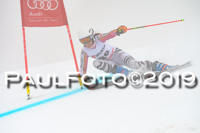 FIS + NJC Riesenslalom Damen + Herren 02.02.2019