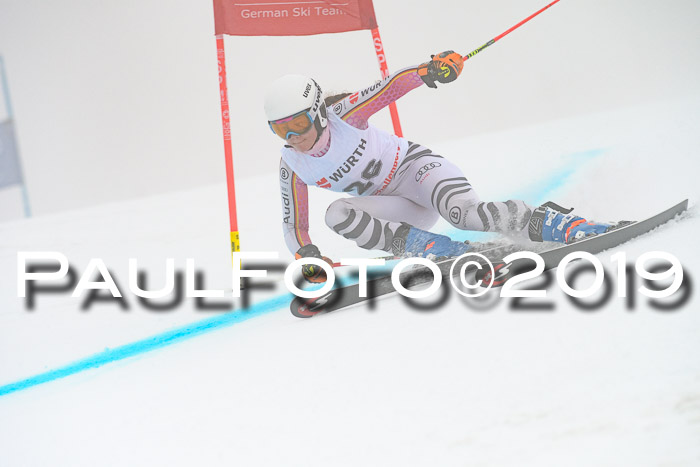 FIS + NJC Riesenslalom Damen + Herren 02.02.2019