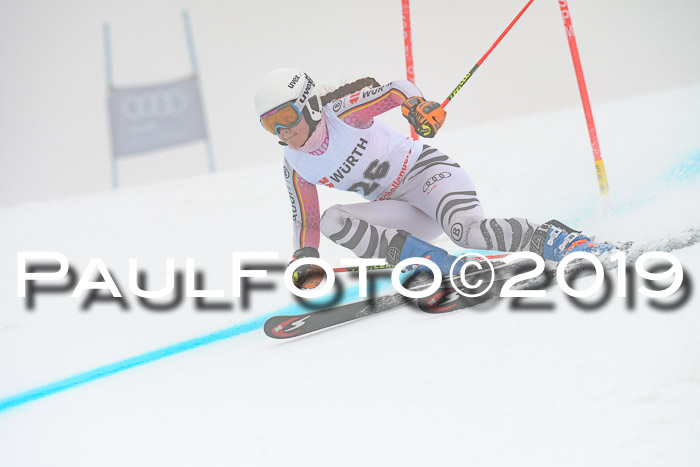 FIS + NJC Riesenslalom Damen + Herren 02.02.2019