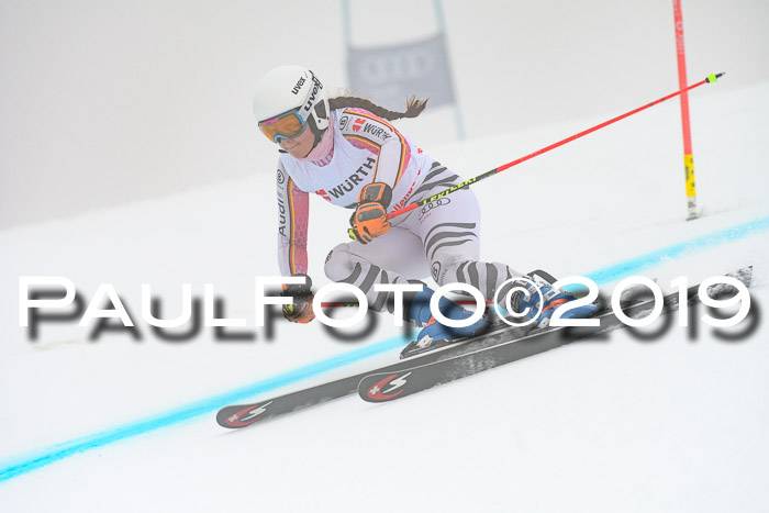 FIS + NJC Riesenslalom Damen + Herren 02.02.2019