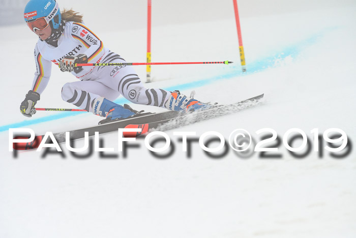 FIS + NJC Riesenslalom Damen + Herren 02.02.2019