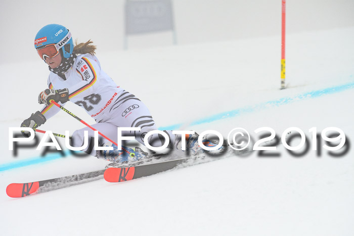 FIS + NJC Riesenslalom Damen + Herren 02.02.2019