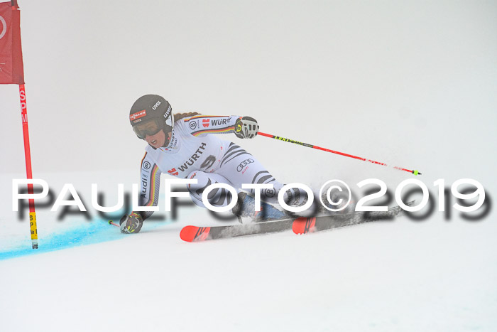 FIS + NJC Riesenslalom Damen + Herren 02.02.2019