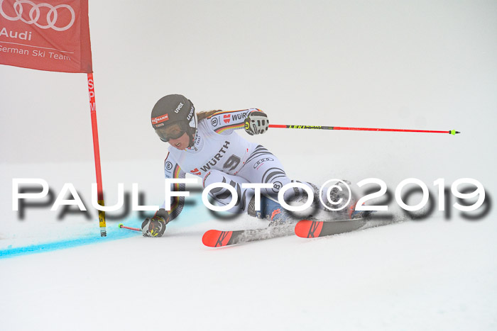 FIS + NJC Riesenslalom Damen + Herren 02.02.2019