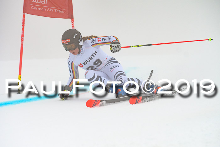 FIS + NJC Riesenslalom Damen + Herren 02.02.2019